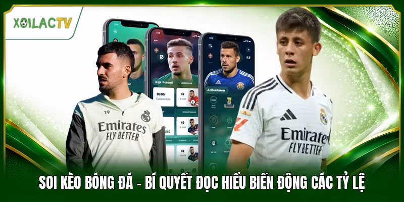 Soi Kèo Bóng Đá - Bí Quyết Đọc Hiểu Biến Động Các Tỷ Lệ